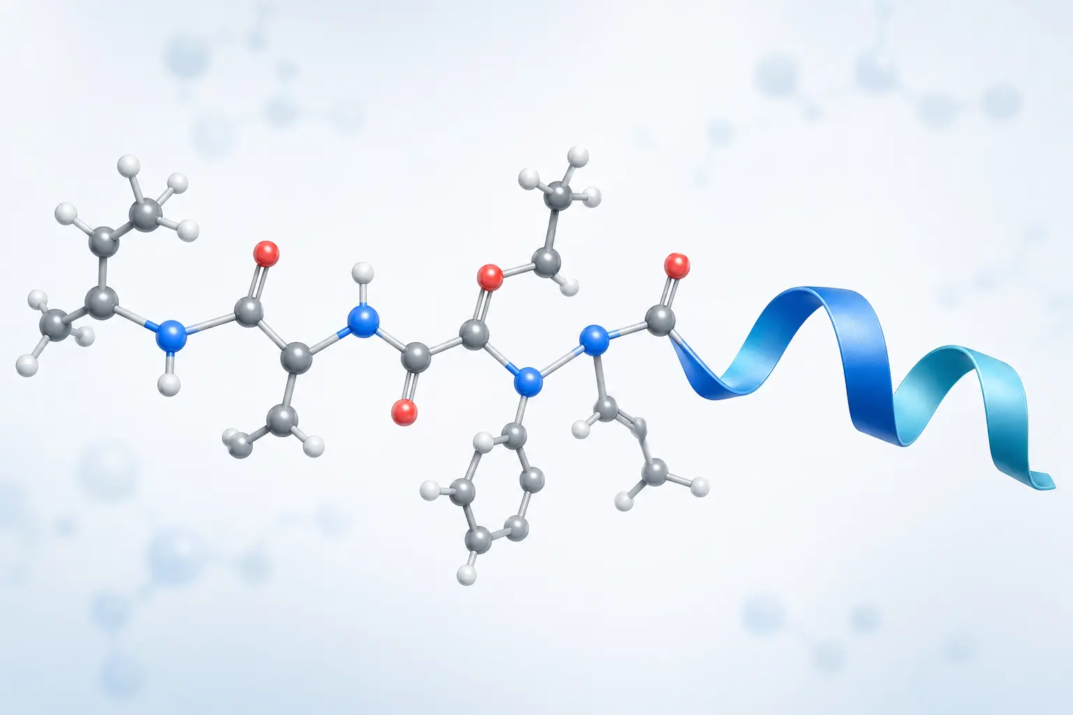 Short amino acid chain linked by peptide bonds beside a simplified molecular ribbon